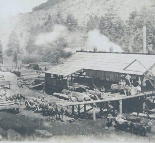 Sturgeon's Mill in Coleman Valley in 1914