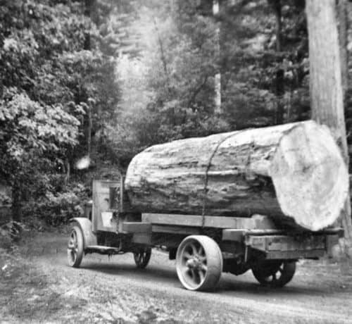 1924 Dorris truck hauling old growth redwood to the mill in the 1930s