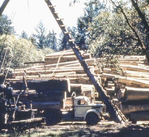Cold decking of logs using a skagit
