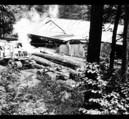 Sturgeon's Mill in operation in the 1950s