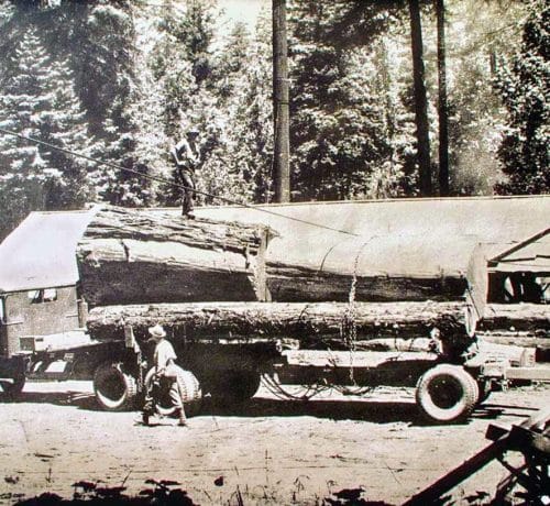 Preparing to unload logs using the bullwheel